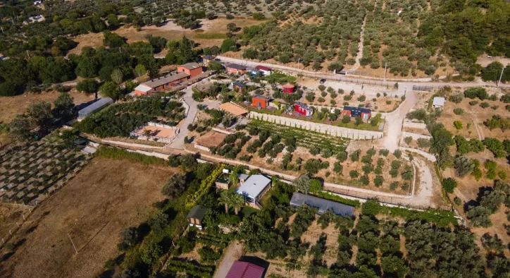 Urla Şarap Bağları - Gelenek, Lezzet ve Doğa, Urla Şarap Bağlarında Buluşuyor